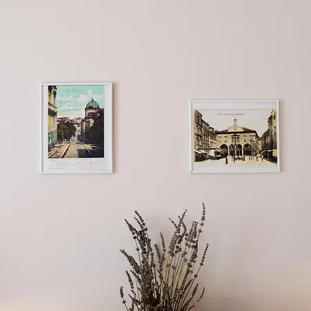 Lavender - With Free Parking