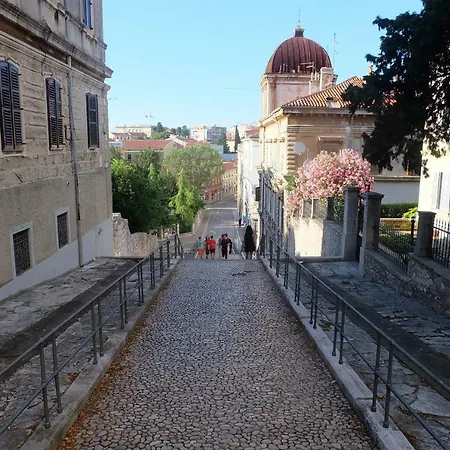 Lavender - City Room With Free Parking Guest house